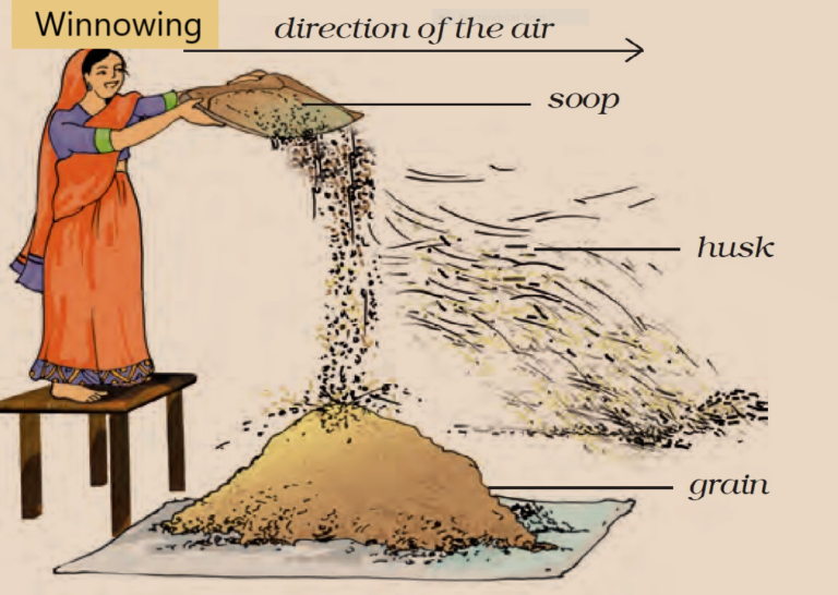 Separating husk from grain through winnowing process