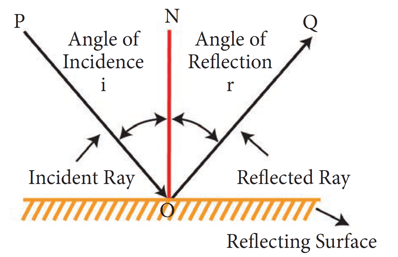 NCERT-Solutions-Class-6-Science-Light Shadows and Reflections
