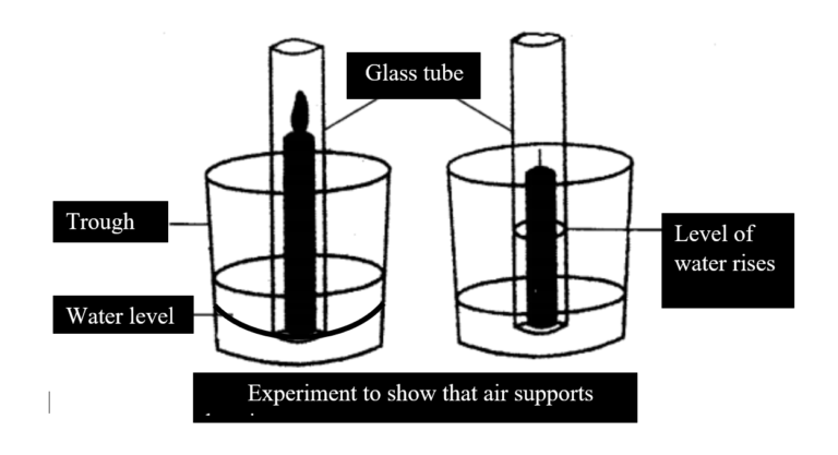 Oxygen supports burning