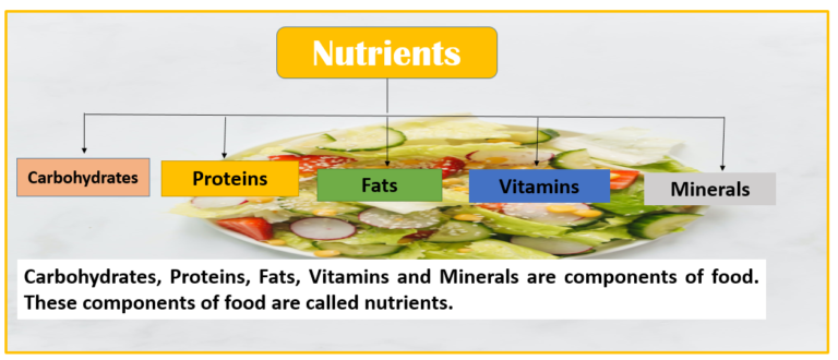 Essential nutrients for our body