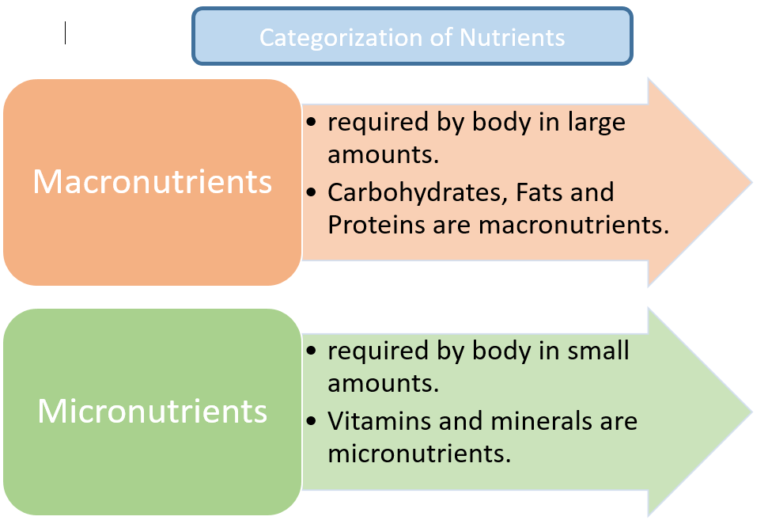 Categorization of nutrients