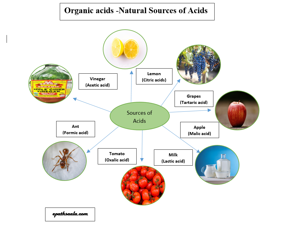 acids bases and salts