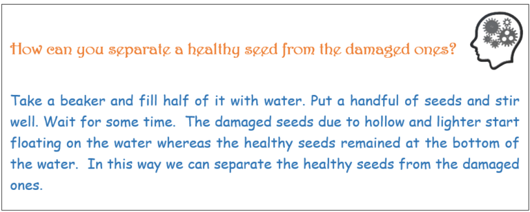 Go To Main Page- How to separate a healthy seeds