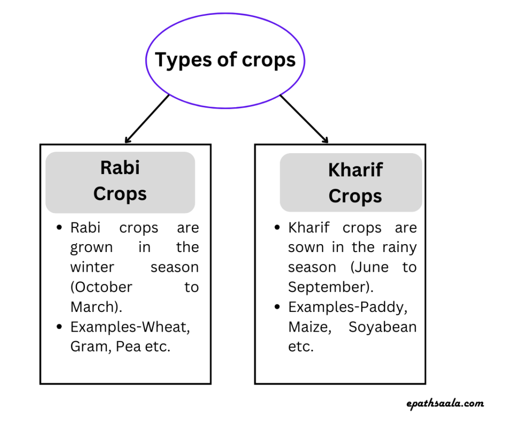 Back to Main Page-Types of Crops