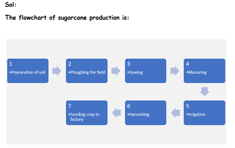 Back to Main Page- Flow chart